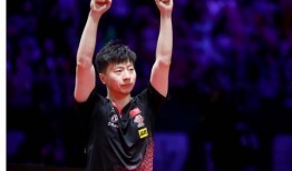 刘诗雯爆料视频,独家爆料背后的故事与感悟