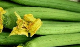 网红爆款吃瓜神器下载,一网打尽娱乐圈新鲜事！